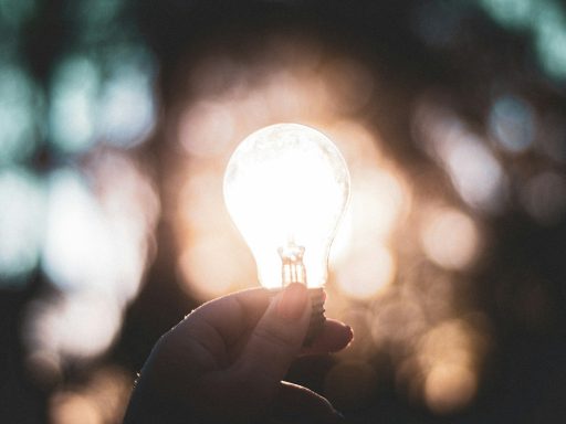 macro photography of person holding light bulb